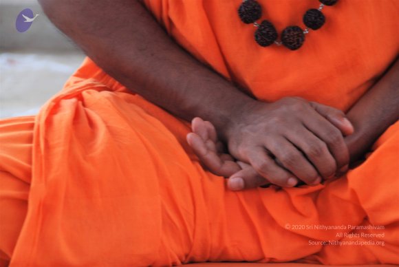 20100914_Photo_1049_DSC_5568_CMP_WM