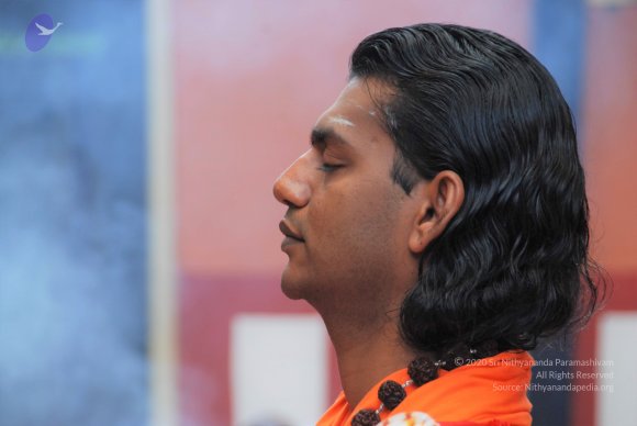 20100914_Photo_1071_DSC_5767_CMP_WM