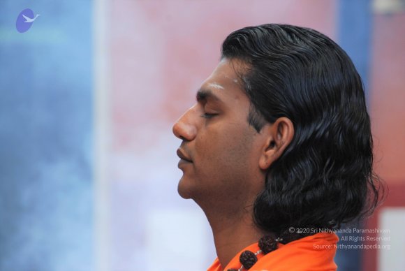 20100914_Photo_1072_DSC_5768_CMP_WM