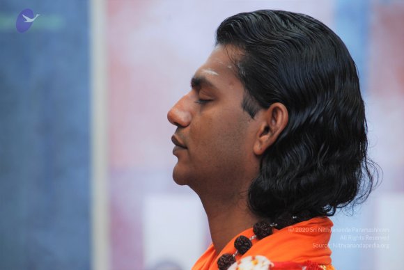 20100914_Photo_1073_DSC_5769_CMP_WM