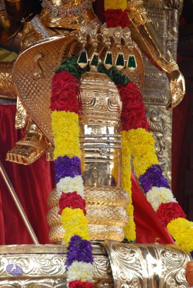 20100914_Photo_1139_DSC_5873_CMP_WM