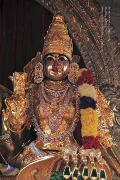 20100914_Photo_1140_DSC_5874_CMP_WM