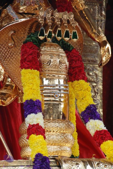 20100914_Photo_1141_DSC_5875_CMP_WM