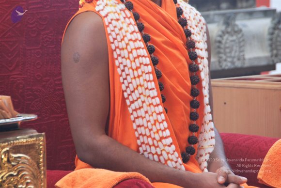 20100914_Photo_1159_DSC_5894_CMP_WM