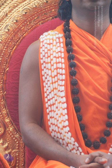 20100914_Photo_1171_DSC_5929_CMP_WM