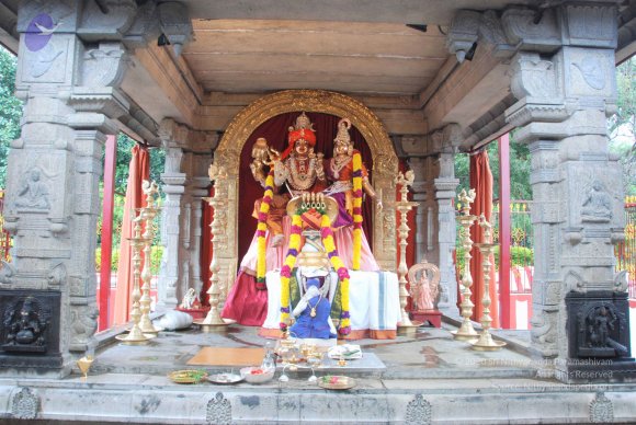 20100915_Photo_1031_DSC_6919_CMP_WM