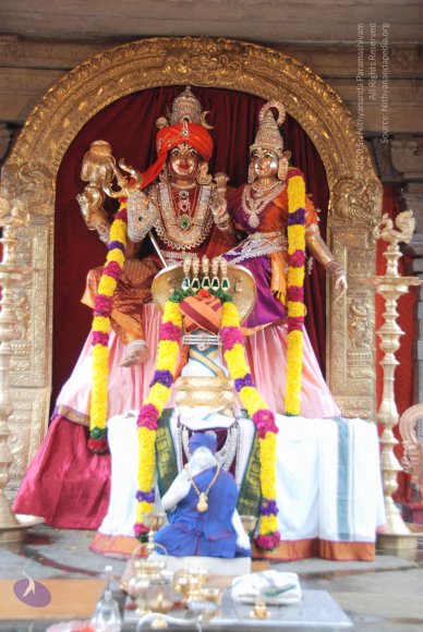 20100915_Photo_1042_DSC_6930_CMP_WM