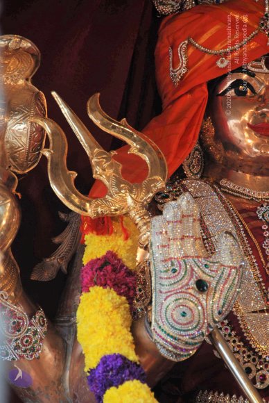 20100915_Photo_1056_DSC_6944_CMP_WM