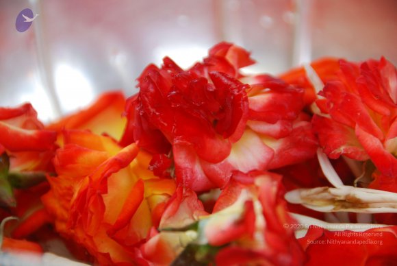 20100915_Photo_1063_DSC_6951_CMP_WM