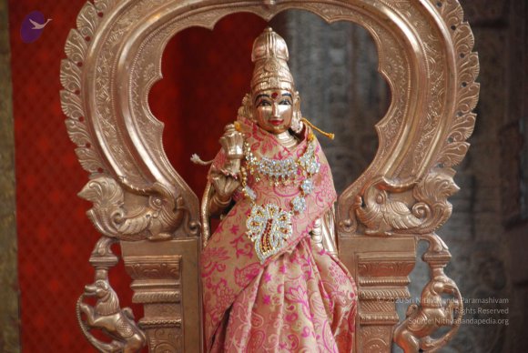 20100915_Photo_1065_DSC_6953_CMP_WM