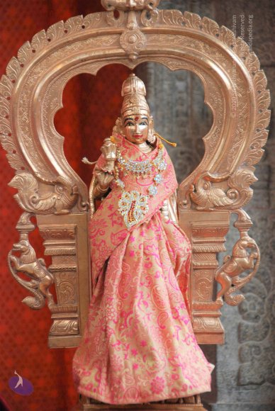 20100915_Photo_1066_DSC_6954_CMP_WM