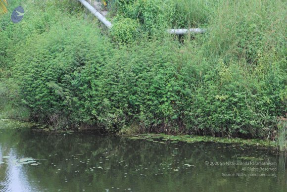 20100915_Photo_1017_DSC_7295_CMP_WM