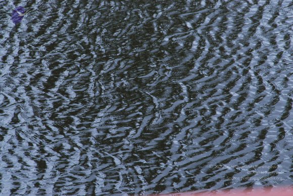 20100915_Photo_1019_DSC_7297_CMP_WM