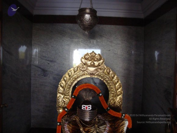 20100926_Photo_1027_DSC00267_CMP_WM