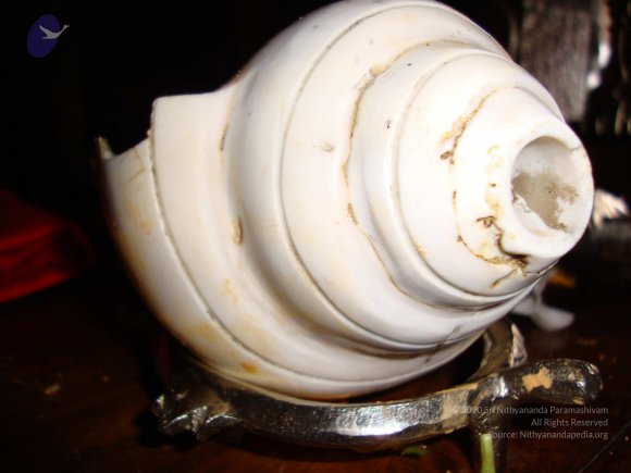 20100926_Photo_1222_DSC00299_CMP_WM