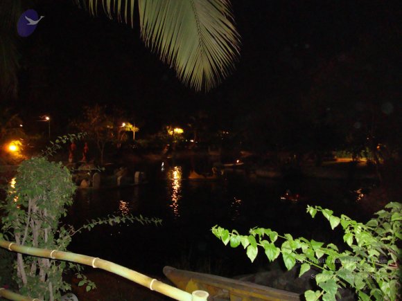 20100926_Photo_1315_DSC00206_CMP_WM