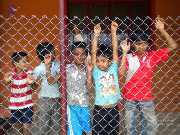 20100927_Photo_1002_DSCN1484_CMP_WM