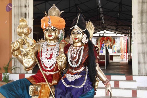 20110802_Photo_1043__MG_8824_CMP_WM