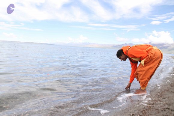 20110805_Photo_1023_IMG_8785_CMP_WM