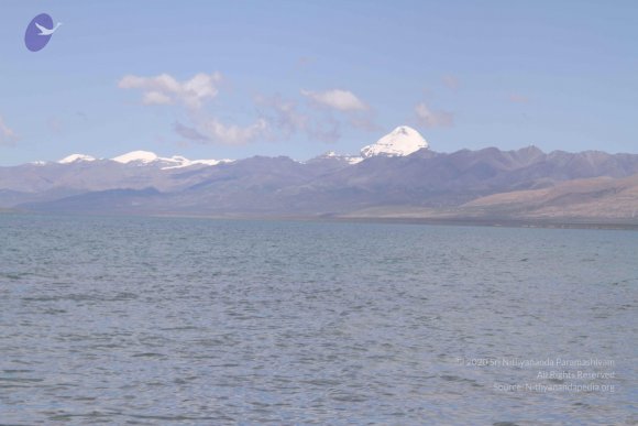 20110805_Photo_1025_IMG_8849_CMP_WM