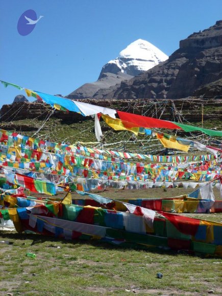 20110805_Photo_1036_P1000291_CMP_WM