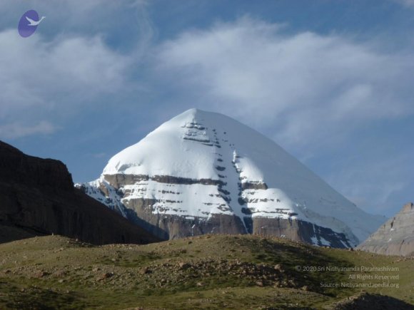 20110805_Photo_1045_P1000365_CMP_WM