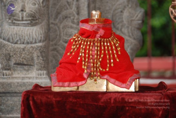 20110805_Photo_1013_DSC_2608_CMP_WM