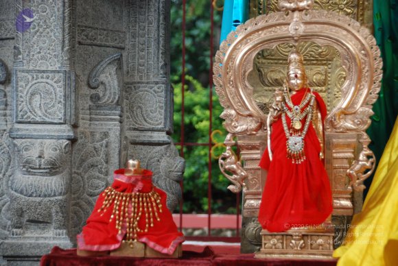 20110805_Photo_1029_DSC_2606_CMP_WM