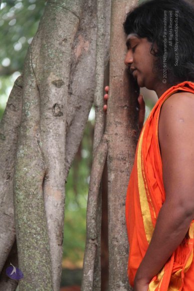 01-Temple_Photo_1009_IMG_9099_CMP_WM