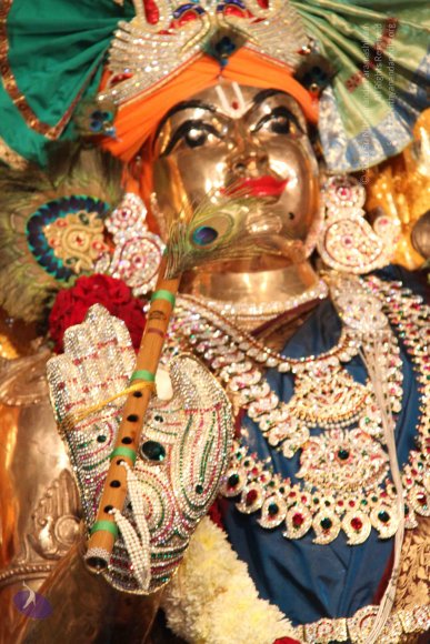 01-Temple_Photo_1016_IMG_9712_CMP_WM