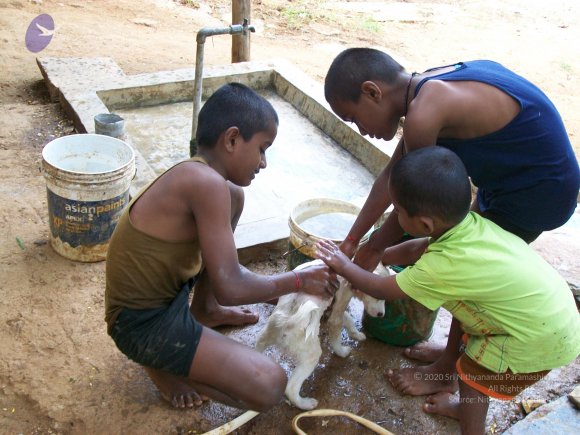 20110828_Photo_1021_100_0972_CMP_WM