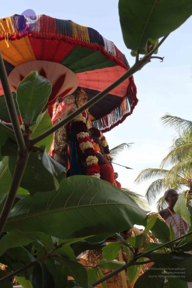 20110828_Photo_1033_IMG_0965_CMP_WM