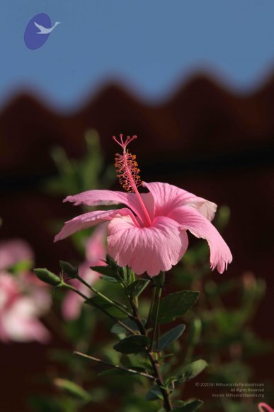 20110828_Photo_1034_IMG_0952_CMP_WM