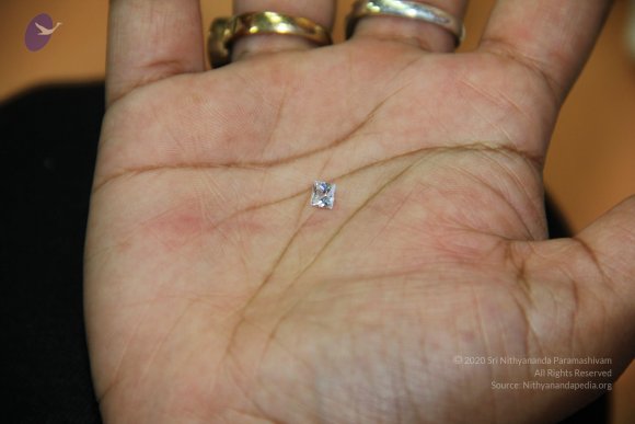 20110828_Photo_1007_IMG_2683_CMP_WM