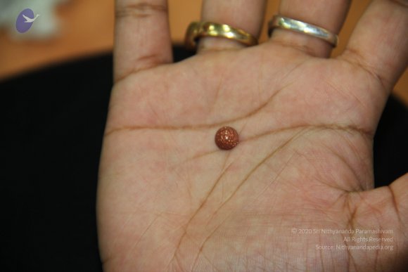 20110828_Photo_1023_IMG_2685_CMP_WM