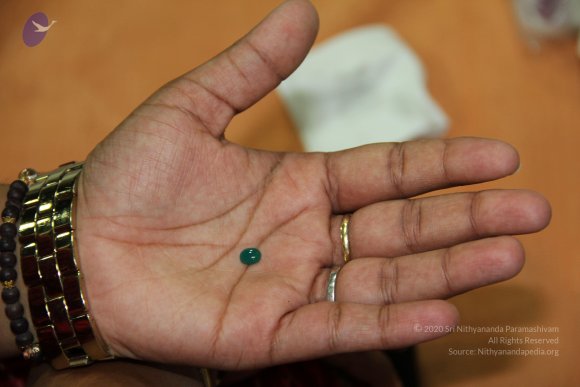 20110828_Photo_1012_IMG_2676_CMP_WM