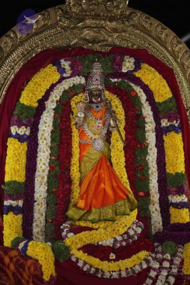 10-Theppal_Photo_1004_IMG_1070_CMP_WM