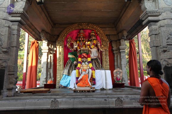 20110203_Photo_1020_IMG_3974_CMP_WM