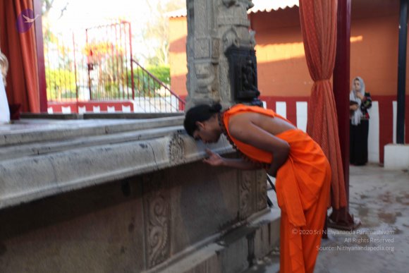 20110203_Photo_1022_IMG_3997_CMP_WM