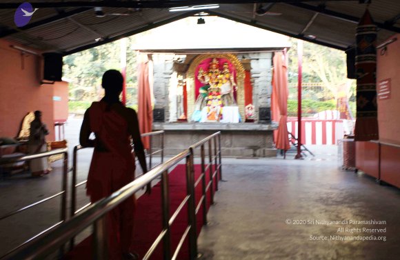 20110203_Photo_1023_IMG_3968_CMP_WM