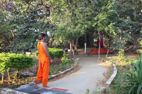 20110203_Photo_1024_IMG_3979_CMP_WM