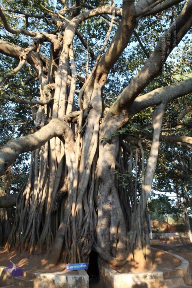 20110203_Photo_1027_IMG_3994_CMP_WM