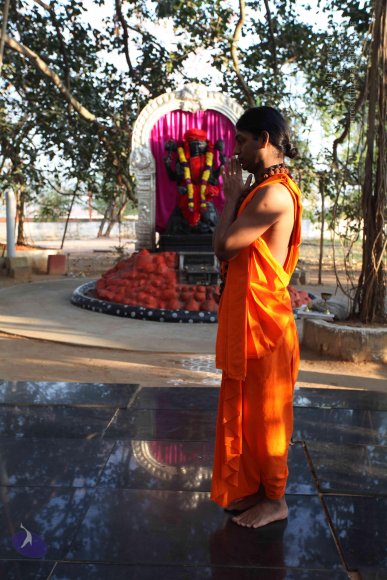 20110203_Photo_1030_IMG_3988_CMP_WM