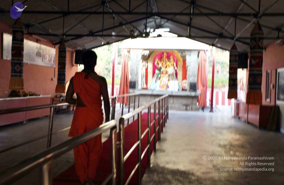 20110203_Photo_1032_IMG_3966_CMP_WM