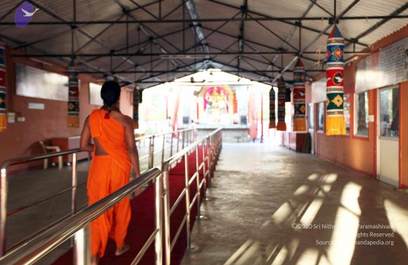 20110203_Photo_1034_IMG_3963_CMP_WM