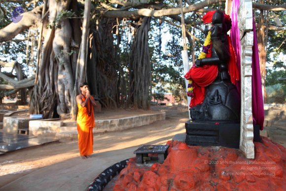 20110203_Photo_1035_IMG_3980_CMP_WM