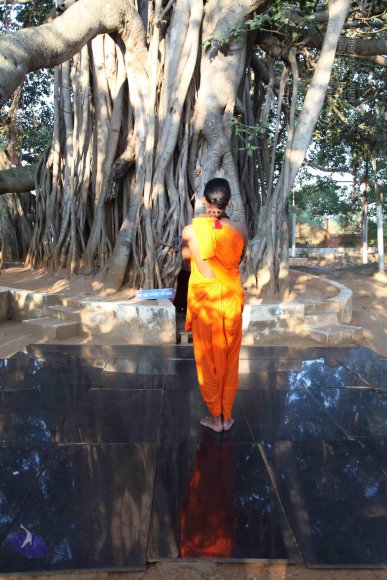 20110203_Photo_1036_IMG_3991_CMP_WM