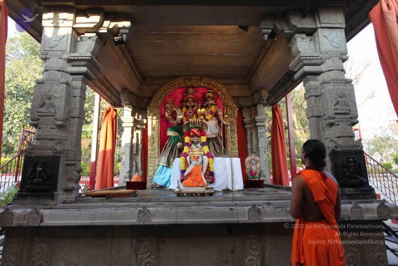 20110203_Photo_1038_IMG_3972_CMP_WM