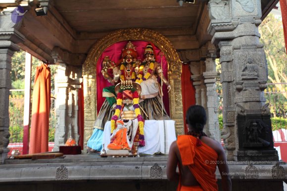 20110203_Photo_1042_IMG_3969_CMP_WM