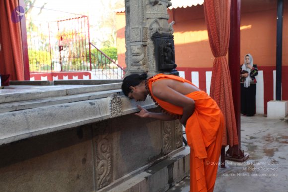 20110203_Photo_1043_IMG_3996_CMP_WM